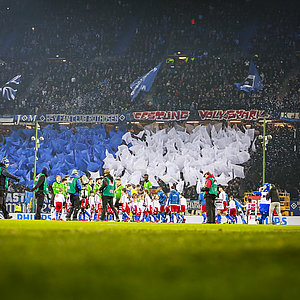 Hamburger SV - Hannover 96