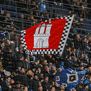 Hamburger SV - TSG 1899 Hoffenheim