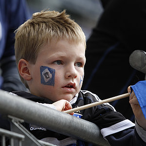 Hamburger SV - TSG 1899 Hoffenheim