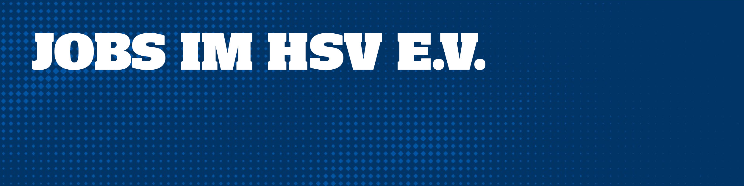 Jobs Hsv E V